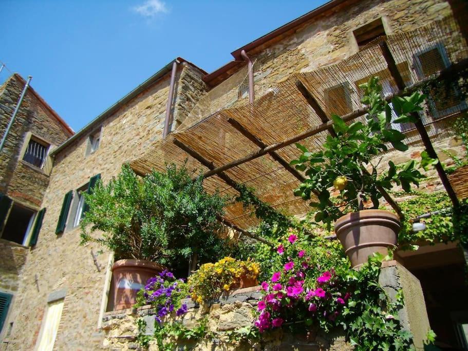 Near The Sea Big Panoramic House 2 Terraces In Lovely Village Монтіано Екстер'єр фото