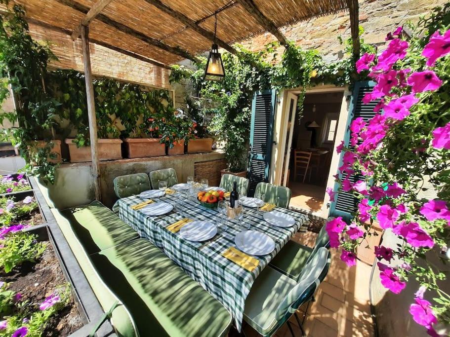 Near The Sea Big Panoramic House 2 Terraces In Lovely Village Монтіано Екстер'єр фото